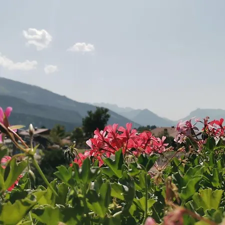 بيت ضيافة Gaestehaus Am Hauchen - Adults Only ريت ام وينكل